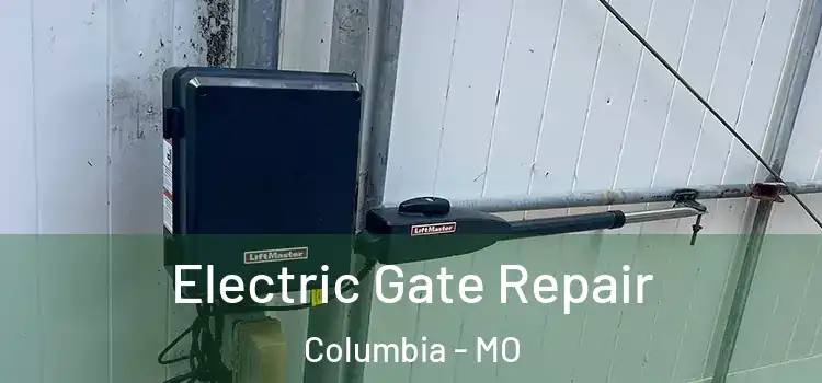 Electric Gate Repair Columbia - MO