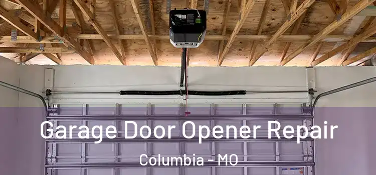  Garage Door Opener Repair Columbia - MO
