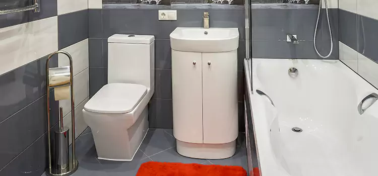 Hansgrohe Shaving Mirror Columbia